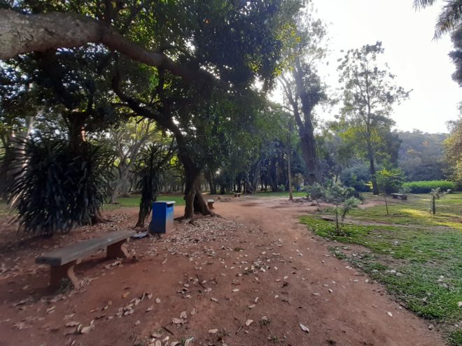 cubbon park morning