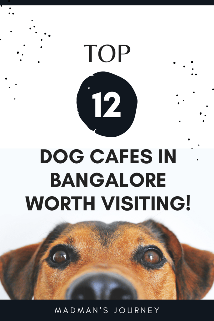 dog cafes in bangalore