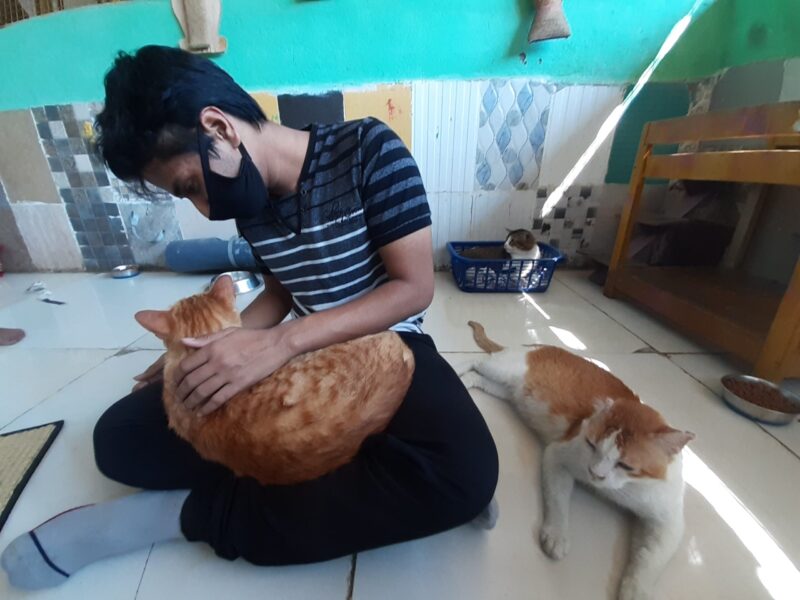 charlie animal rescue center, cats studio, charlie care center bangalore