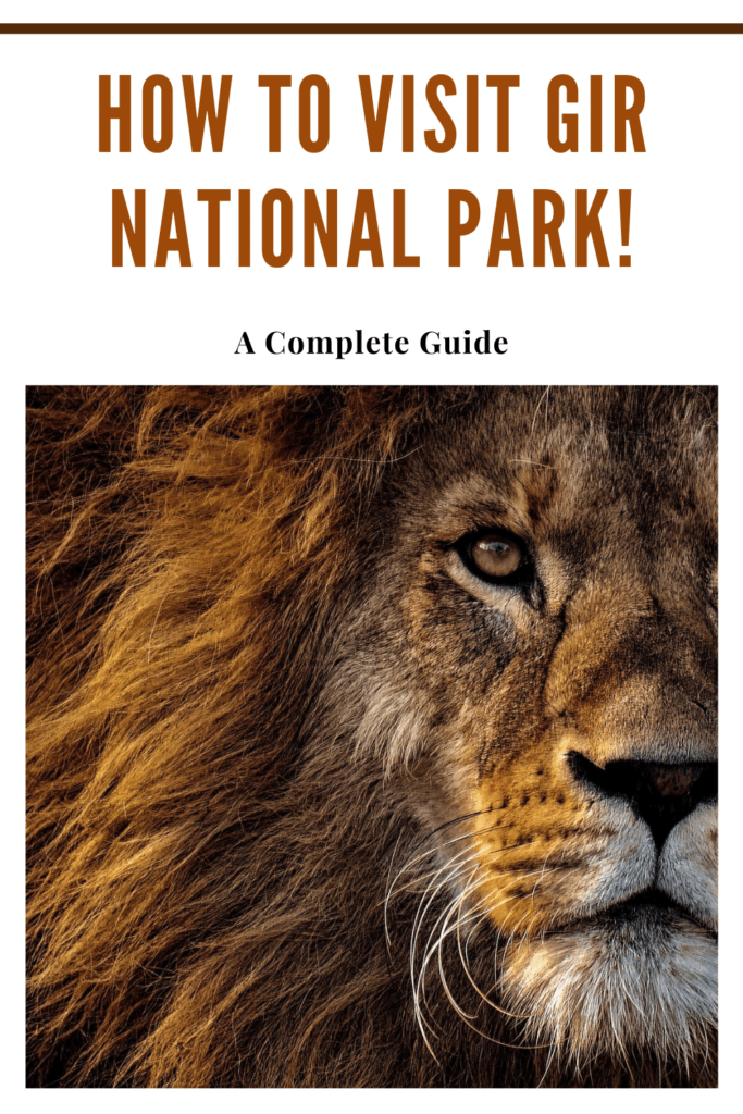 how to visit gir national park