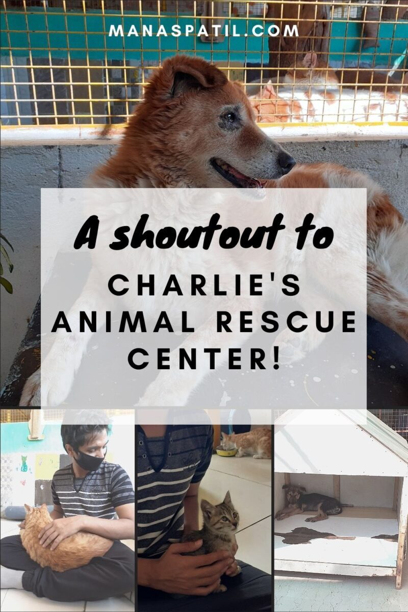 charlie animal rescue center