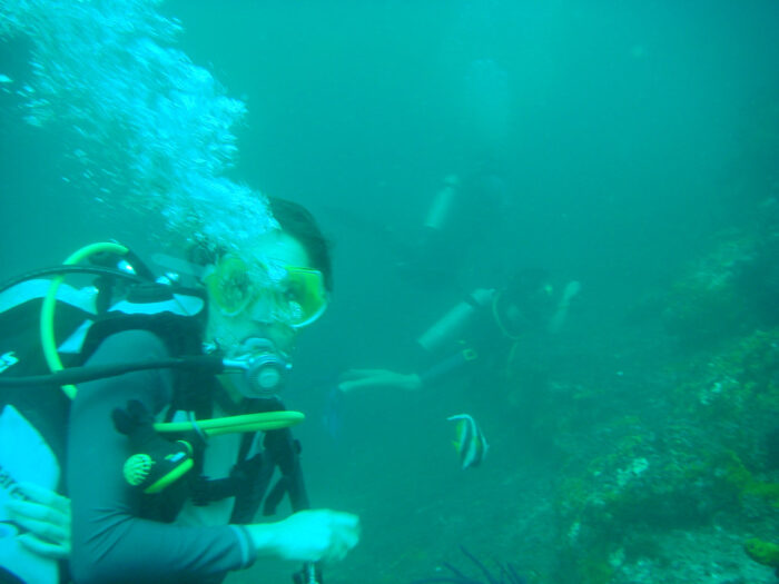 scuba diving in musandam
