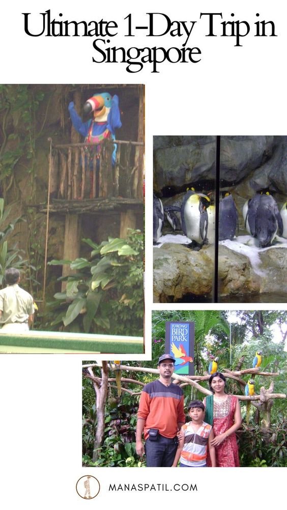 Jurong bird park review, jurong bird park guide