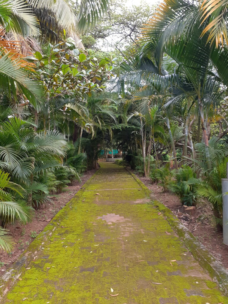 sadhankeri garden dharwad, sadhankeri garden, sadhankeri morning