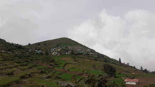travel guide to ooty