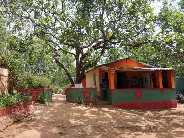 what is special in dandeli, dandeli jungle camp, budget homestays in dandeli