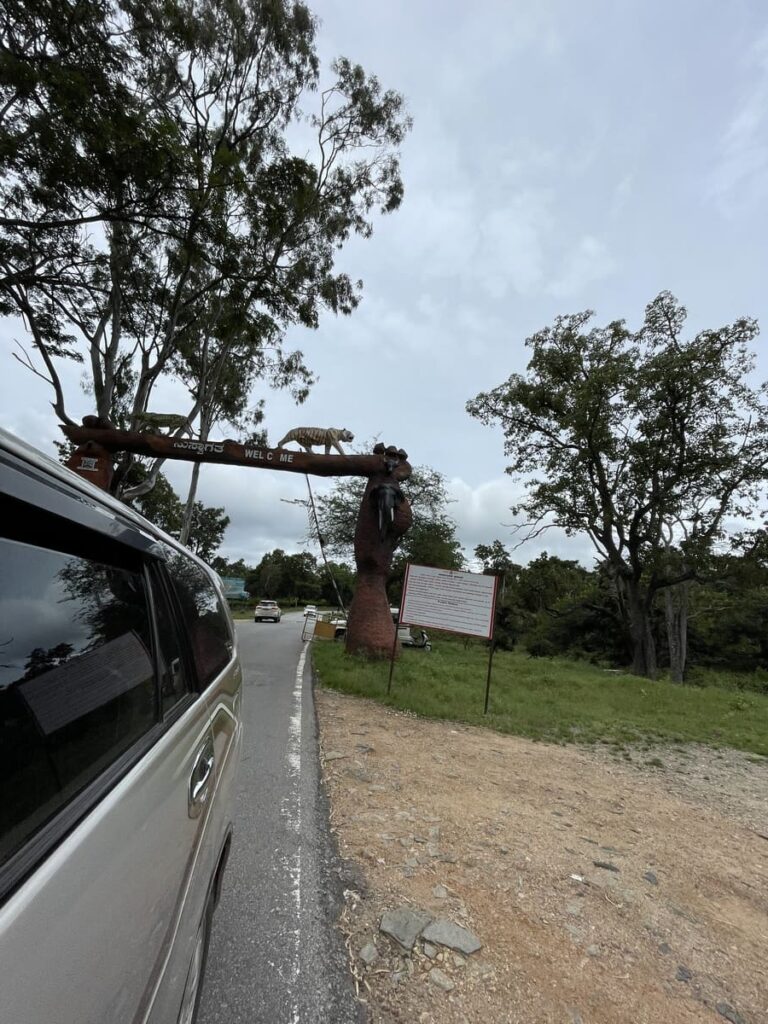 mudumalai tiger reserve when visiting ooty