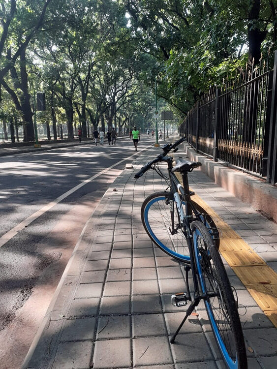 cubbon park sunday cycling