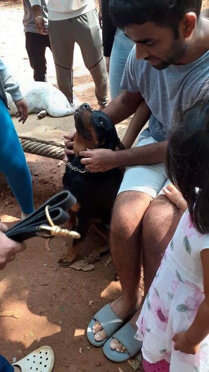 dog park bangalore