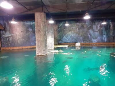 manatee river wonders, river wonders singapore review