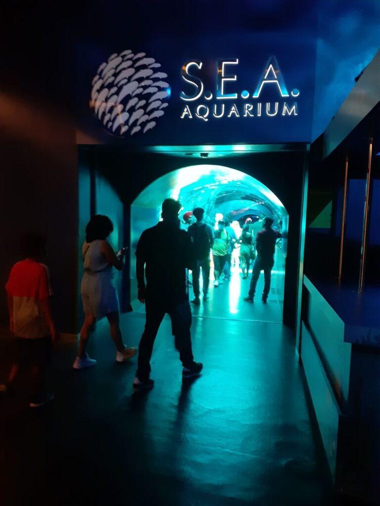 sea aquarium blog