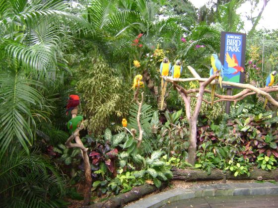 jurong bird park review
