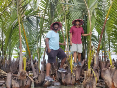 Da Nang Things to Do